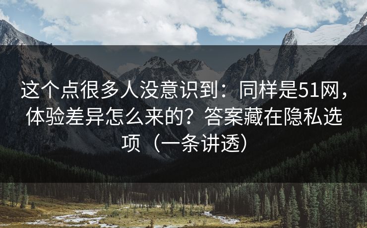 这个点很多人没意识到：同样是51网，体验差异怎么来的？答案藏在隐私选项（一条讲透）