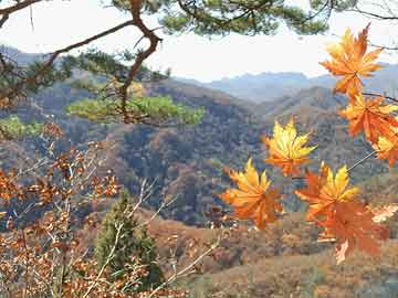 微密圈科普：花絮背后5条亲测有效秘诀