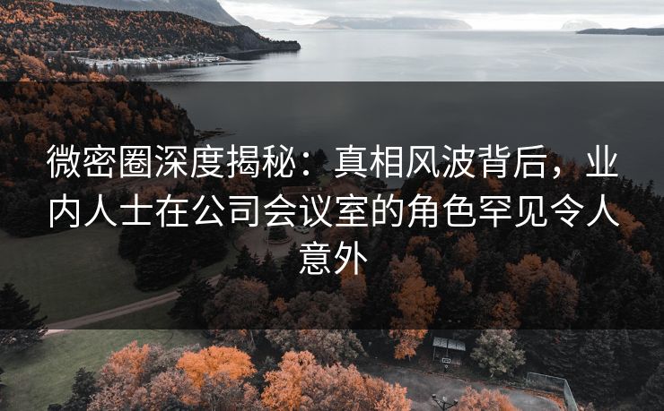 微密圈深度揭秘：真相风波背后，业内人士在公司会议室的角色罕见令人意外
