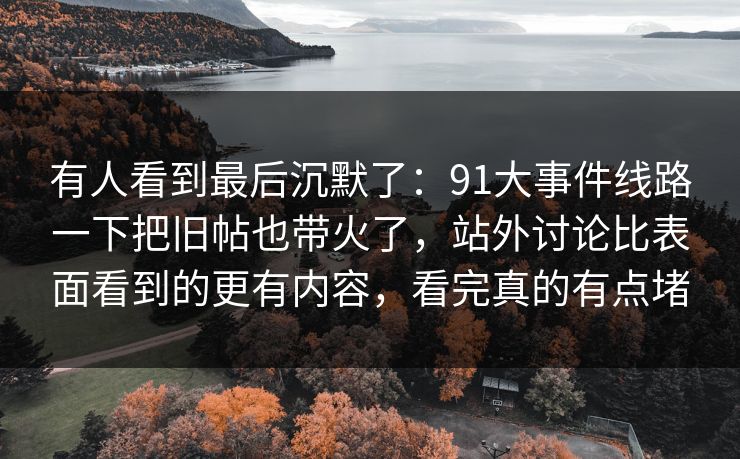 有人看到最后沉默了：91大事件线路一下把旧帖也带火了，站外讨论比表面看到的更有内容，看完真的有点堵